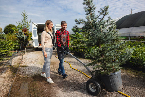 Professional Tree Service in Electra, TX